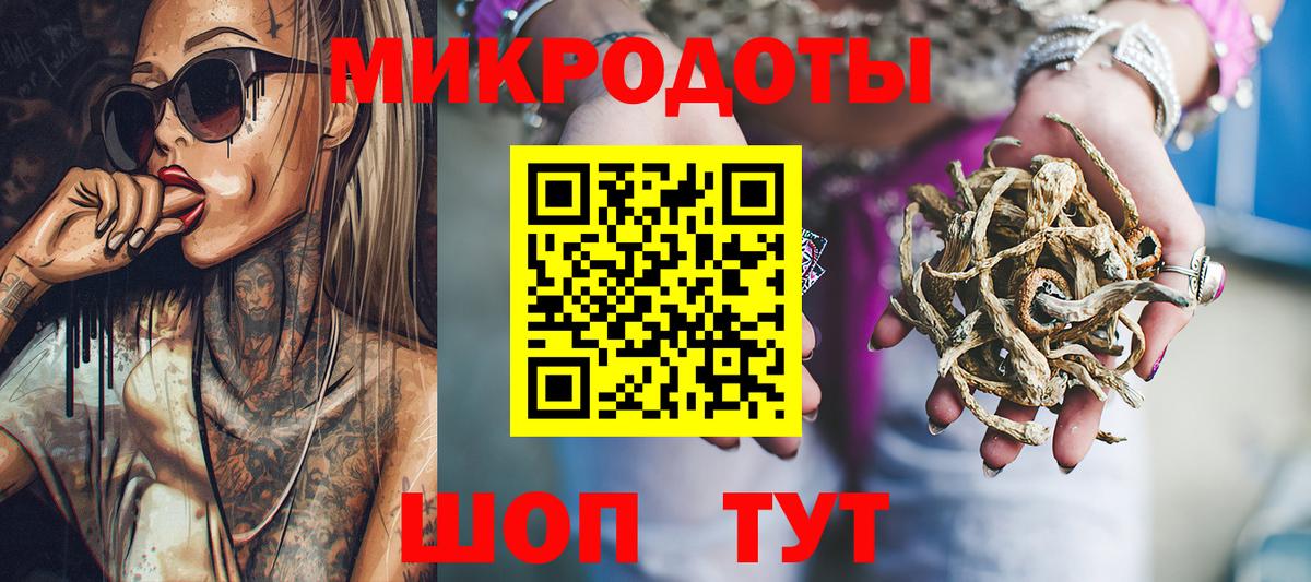 Псилоцибиновые грибы Psilocybe Звенигород